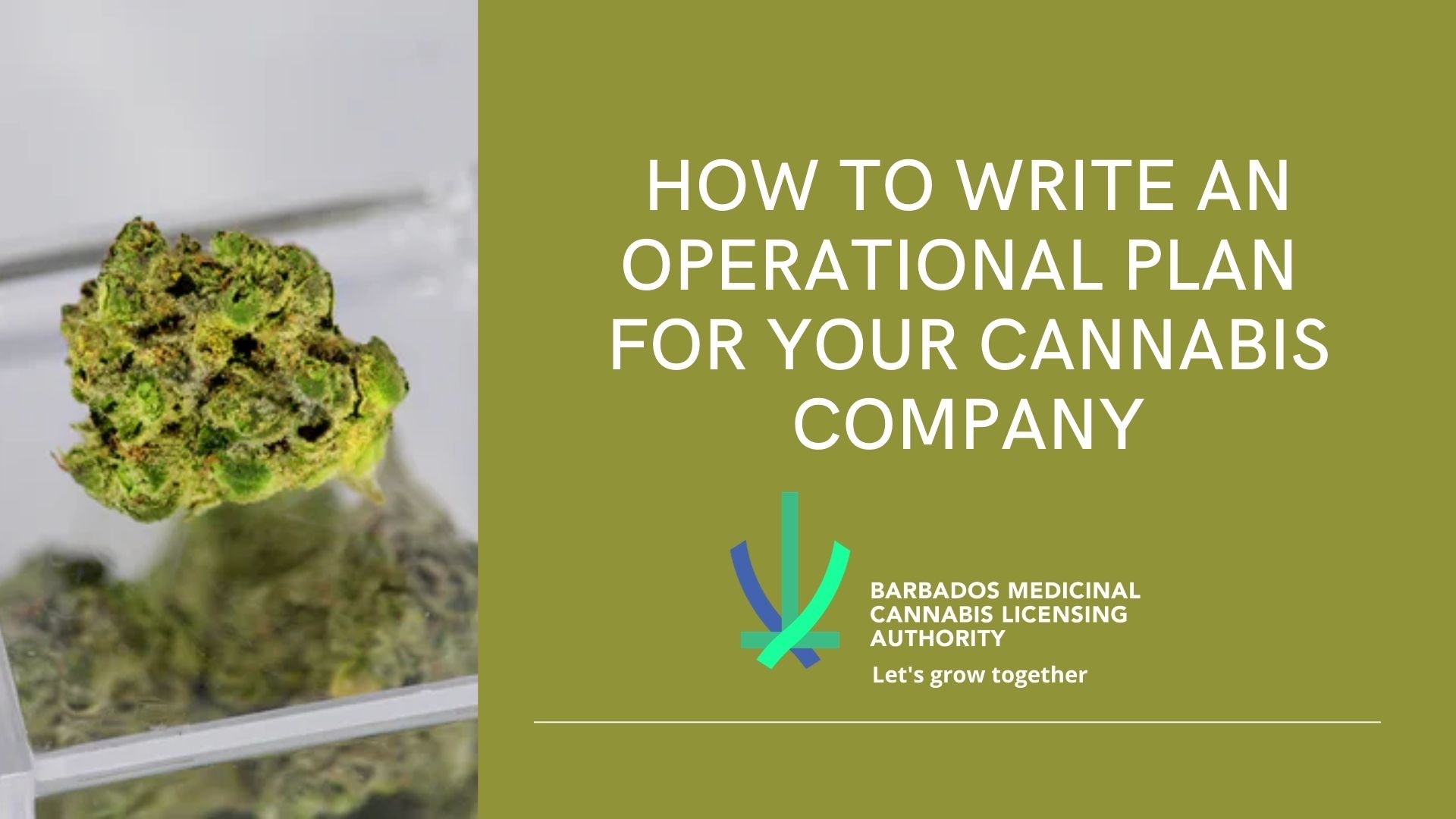 How to write an Operational Plan for Your Cannabis Company